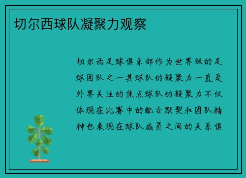 切尔西球队凝聚力观察