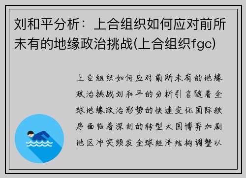 刘和平分析：上合组织如何应对前所未有的地缘政治挑战(上合组织fgc)